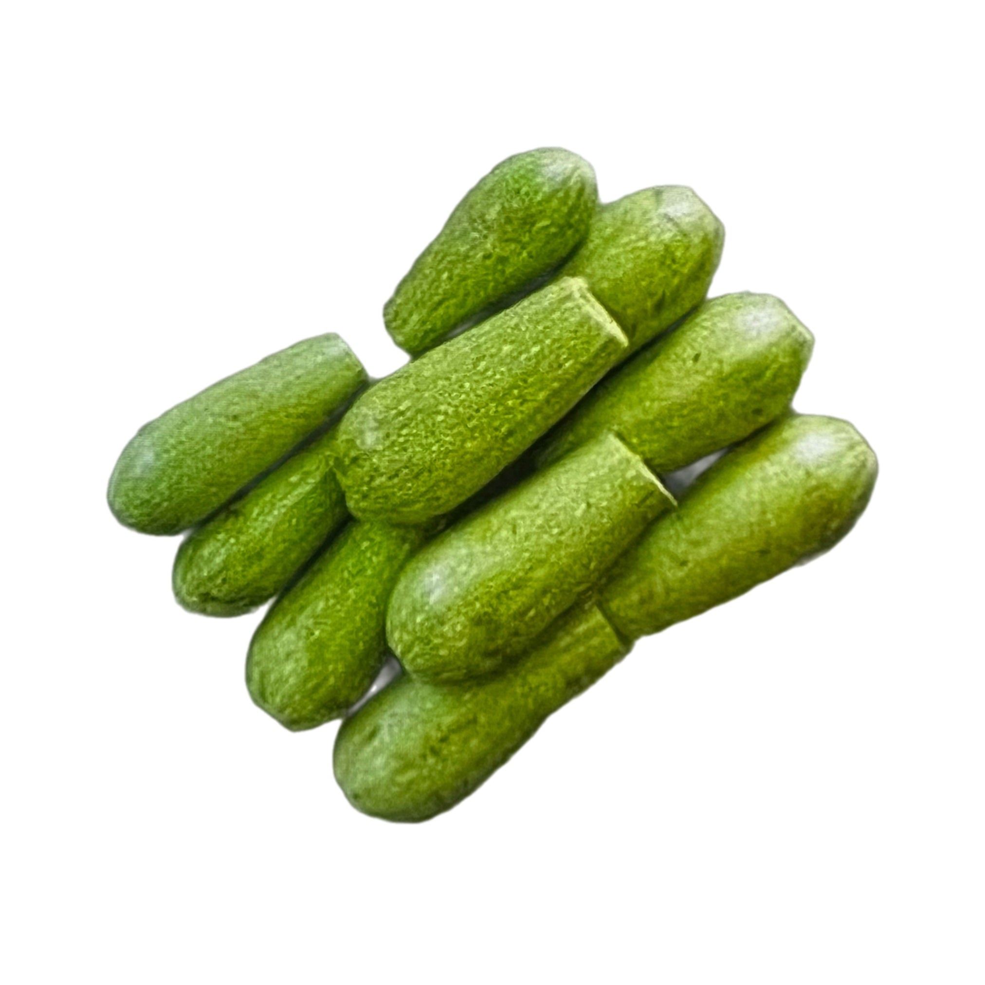 Pitted White Marrow pack of 10 Pc
