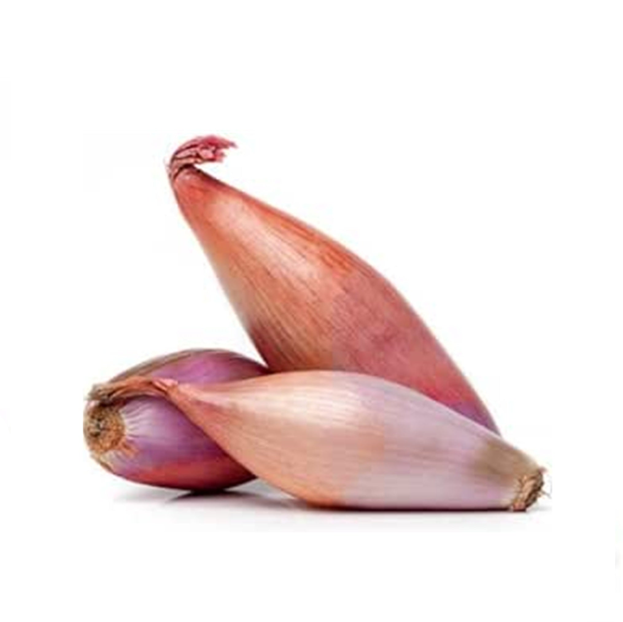 Fresh Shallots Onions 400g