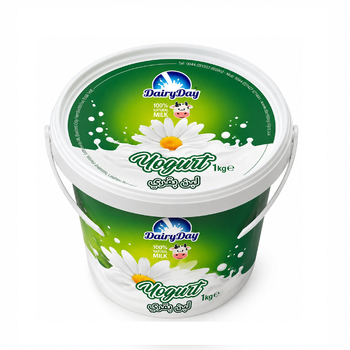 Dairy Day Yogurt 1 Kg