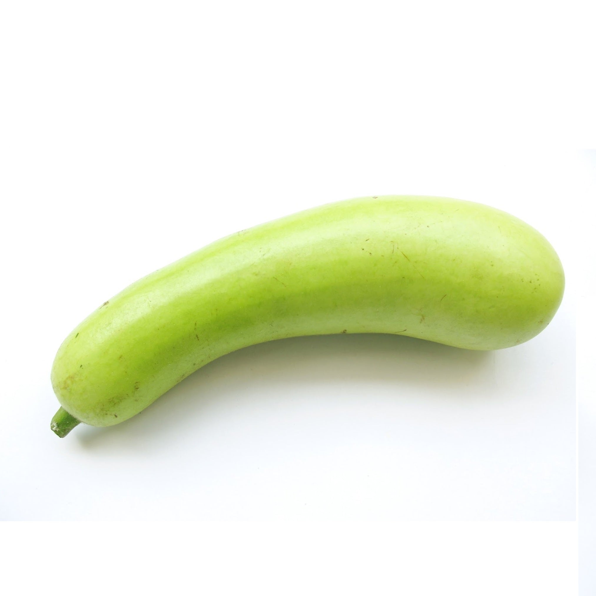 Fresh Doodhi 1 kg