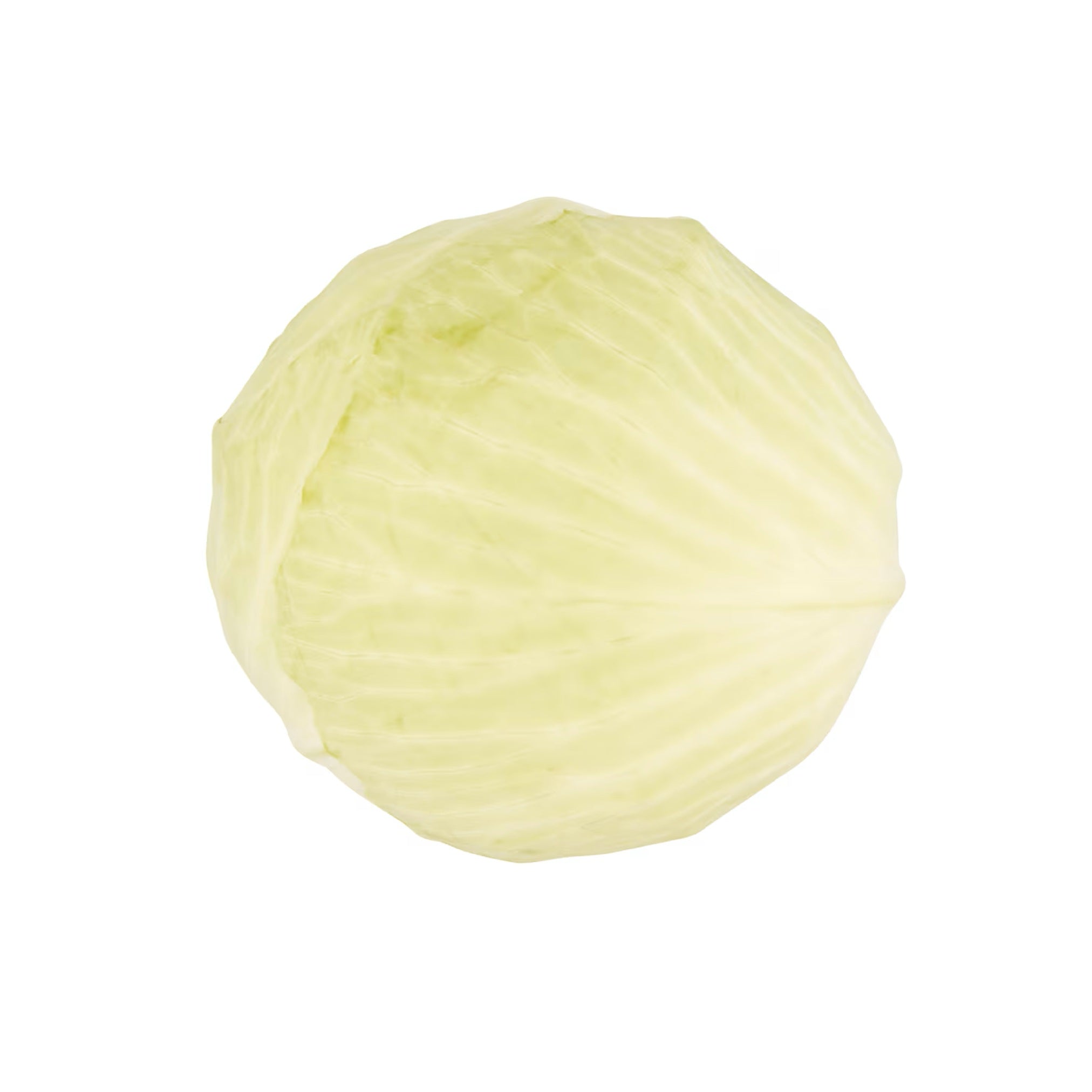 Fresh White Cabbage 1 Pc