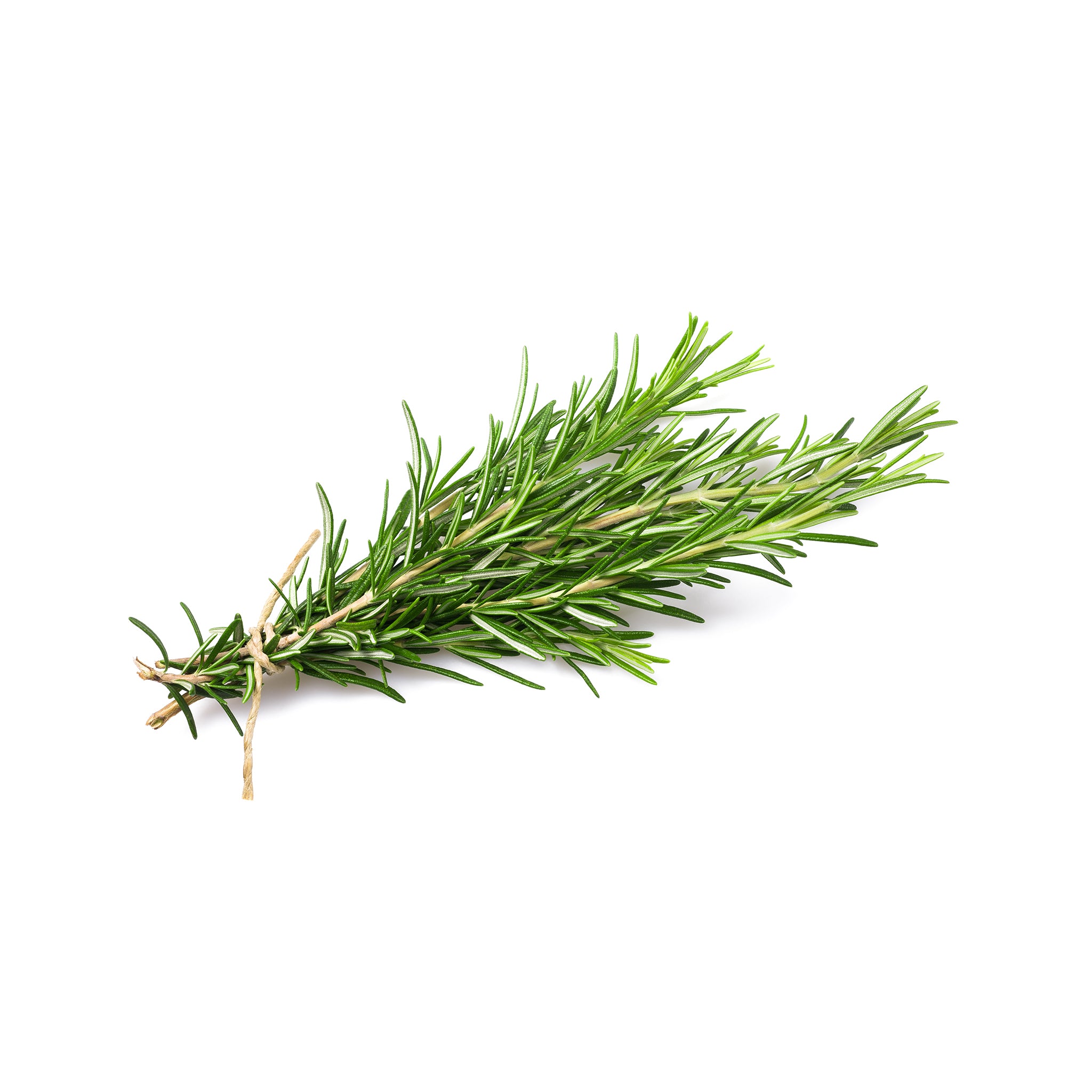 Rosemary 1 bunch